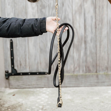 Lederen presentatielijn voor paardenshows