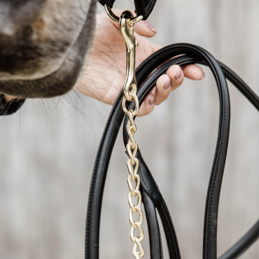 Lederen presentatielijn voor paardenshows