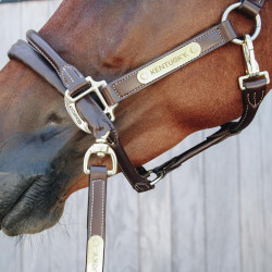 Lijn en presentatieketting van leer Kentucky Bruin