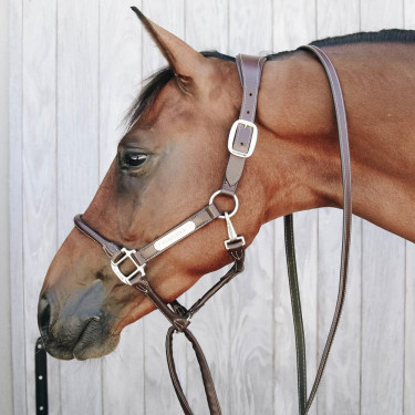Lijn en presentatieketting van leer Kentucky Bruin