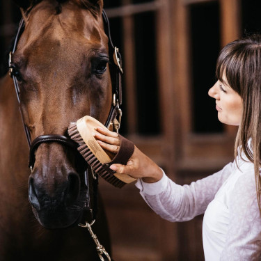 Zachte borstel met zachte haren Grooming Deluxe by Kentucky Bruin Zachte borstel met zachte haren Grooming Deluxe by Kentucky Bruin