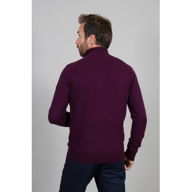 Trui Harcour Swantos Viool Violet