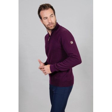 Trui Harcour Swantos Viool Violet