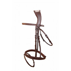 Halter Met Manet Brug T van T Halter Met Manet Brug T van T
