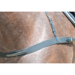 Elastische Bricole T van T
