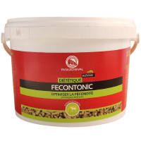 Fecontonic Paskacheval Fecontonic Paskacheval