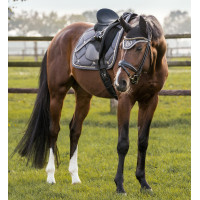 Zadeldek CSO Night Collection Back On Track Edelblauw