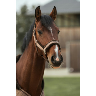 Halster Back on Track Haze Collection Halster Back on Track Haze Collection