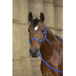 Ethologisch halster Norton + leadrope Eco