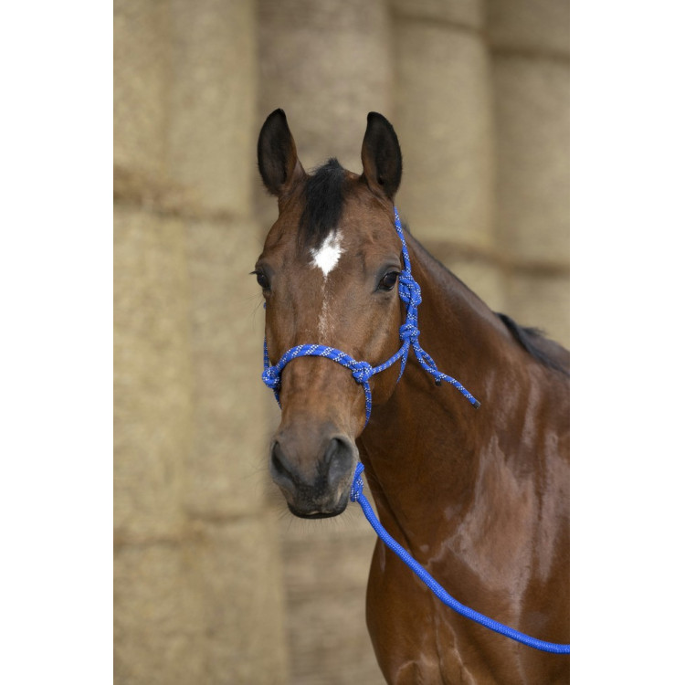 Ethologisch halster Norton + leadrope Eco