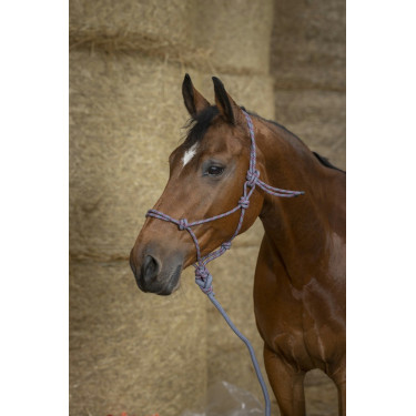 Ethologisch halster Norton + leadrope Eco Ethologisch halster Norton + leadrope Eco