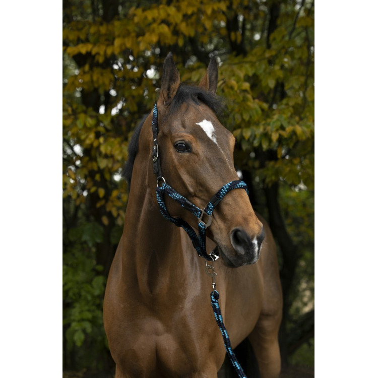 Halster + lijn Equitheme Gevlochten Halster + lijn Equitheme Gevlochten
