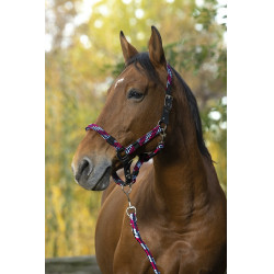 Halster + lijn Equitheme Gevlochten Halster + lijn Equitheme Gevlochten