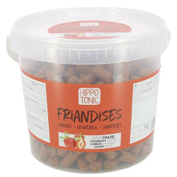 Snoepjes voor paarden met aardbeiensmaak Hippotonic Snoepjes voor paarden met aardbeiensmaak Hippotonic