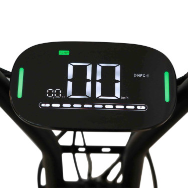Elektrische scooter E-one 1000W Rood