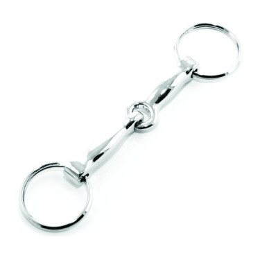 Sleutelhanger van roestvrij staal met bit