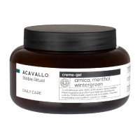 Arnica 90 met menthol 500 ml