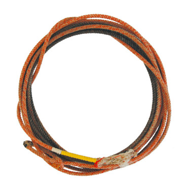 Professionele gebruikte lasso VS