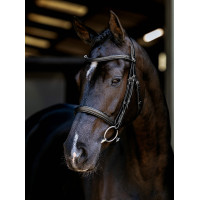 Arika Cavesson Bridle LeMieux