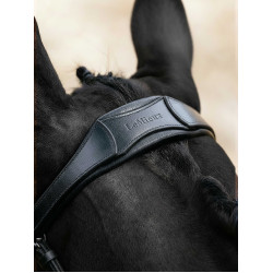 Arika Cavesson Bridle LeMieux