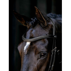 Arika Cavesson Bridle LeMieux