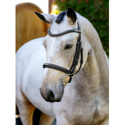 Arika Cavesson Bridle LeMieux Bruin / zilver Arika Cavesson Bridle LeMieux Bruin / zilver