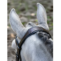 Arika Cavesson Bridle LeMieux Zwart / zilver