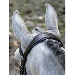 Arika Cavesson Bridle LeMieux Bruin / zilver Arika Cavesson Bridle LeMieux Bruin / zilver