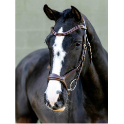 Kudos Sport Bridle LeMieux Kudos Sport Bridle LeMieux