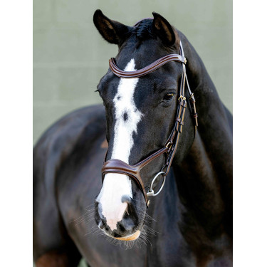 Kudos Sport Bridle LeMieux Kudos Sport Bridle LeMieux