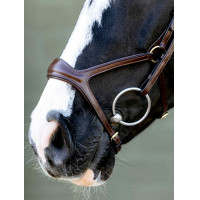 Kudos Sport Bridle LeMieux