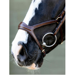 Kudos Sport Bridle LeMieux Kudos Sport Bridle LeMieux