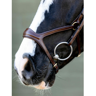 Kudos Sport Bridle LeMieux Kudos Sport Bridle LeMieux