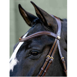 Kudos Sport Bridle LeMieux Kudos Sport Bridle LeMieux