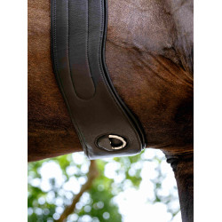 Springsingel met afneembare antislip voering Zwart LeMieux