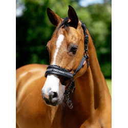ProSafe Halster Zwart LeMieux