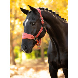 Halster en leadrope LeMieux Vogue Esme Roodbruin Oranje Halster en leadrope LeMieux Vogue Esme Roodbruin Oranje