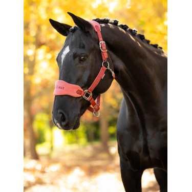 Halster en leadrope LeMieux Vogue Esme Roodbruin Oranje Halster en leadrope LeMieux Vogue Esme Roodbruin Oranje