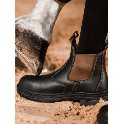 Jodhpur de protection Mountain Horse