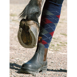Jodhpur de protection Mountain Horse