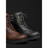 Wild River Lace Paddock Mountain Horse