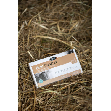 Foal Booster Horse Master per 4