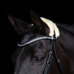 Hoofdstel HV Polo Kate Zwart