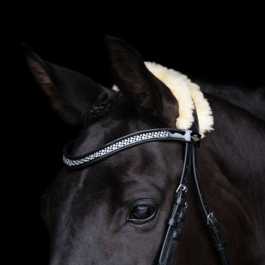 Hoofdstel HV Polo Kate Zwart