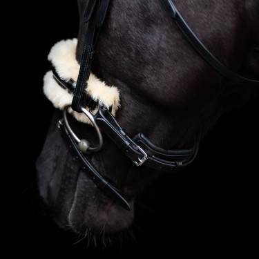 Hoofdstel HV Polo Kate Zwart