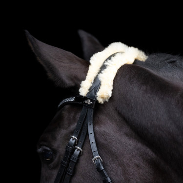Hoofdstel HV Polo Kate Zwart
