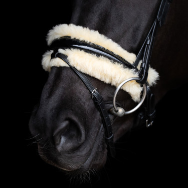 Hoofdstel HV Polo Kate Zwart