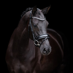Hoofdstel HV Polo Diana