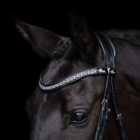 Hoofdstel HV Polo Diana