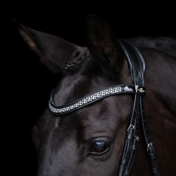 Hoofdstel HV Polo Diana